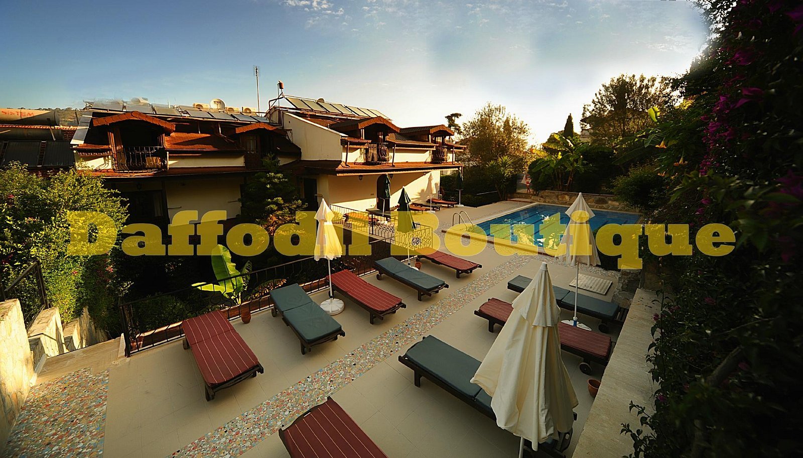 Hotel Villa Daffodil photo 7