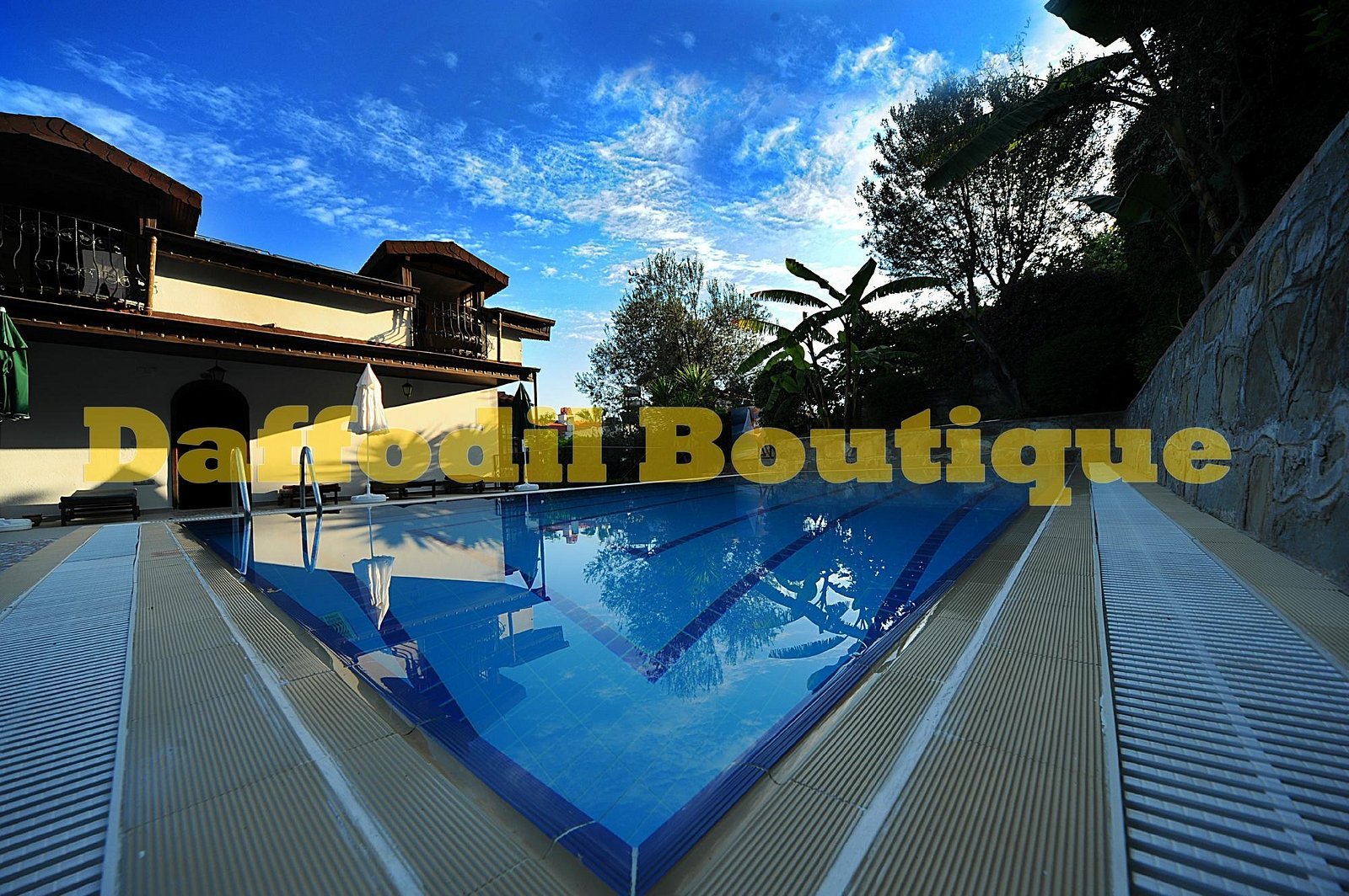 Hotel Villa Daffodil photo 8
