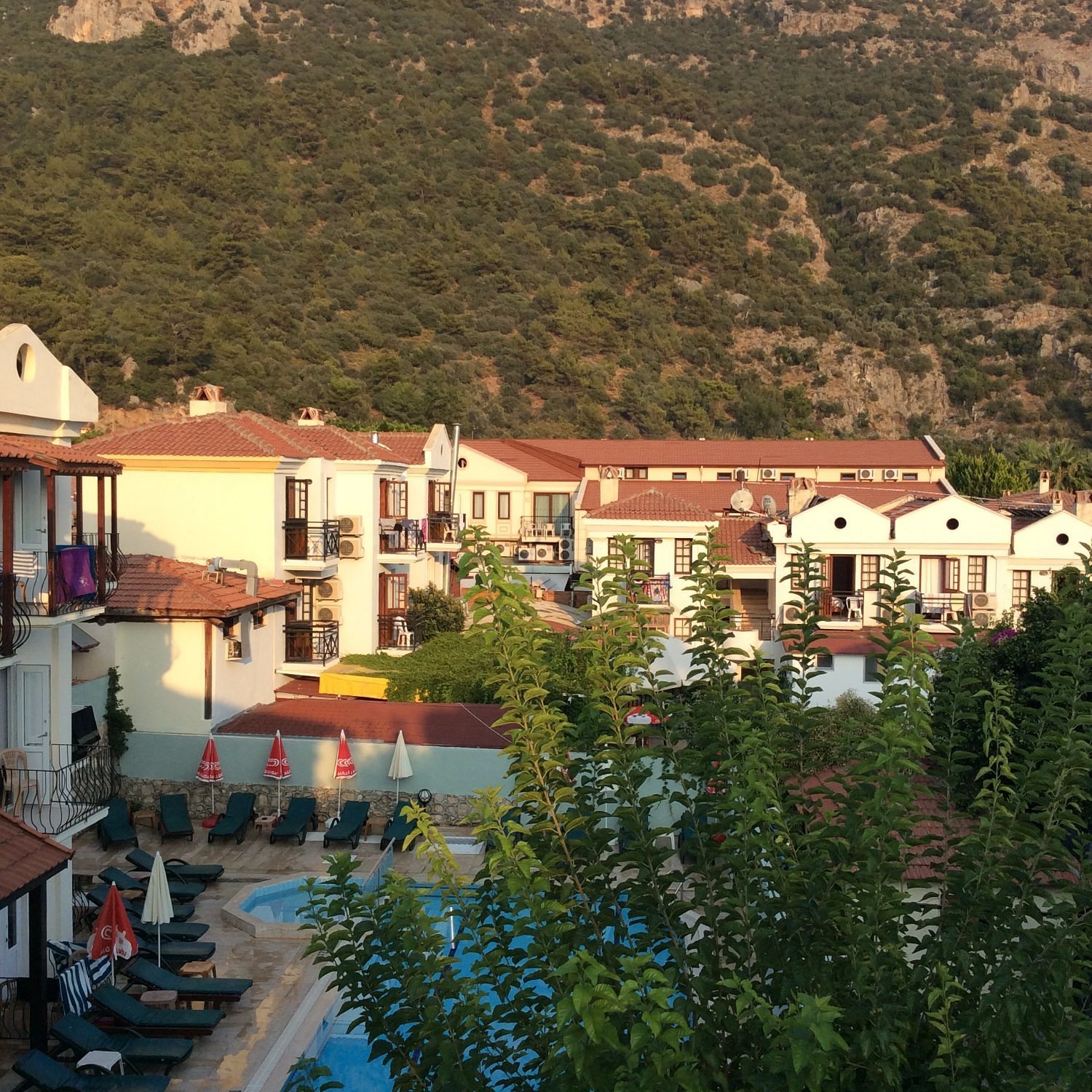 Lemon Tree Hotel photo 4