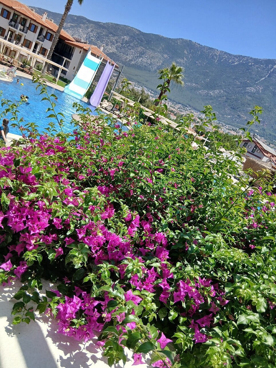 Telmessos Neva Hotel photo 4