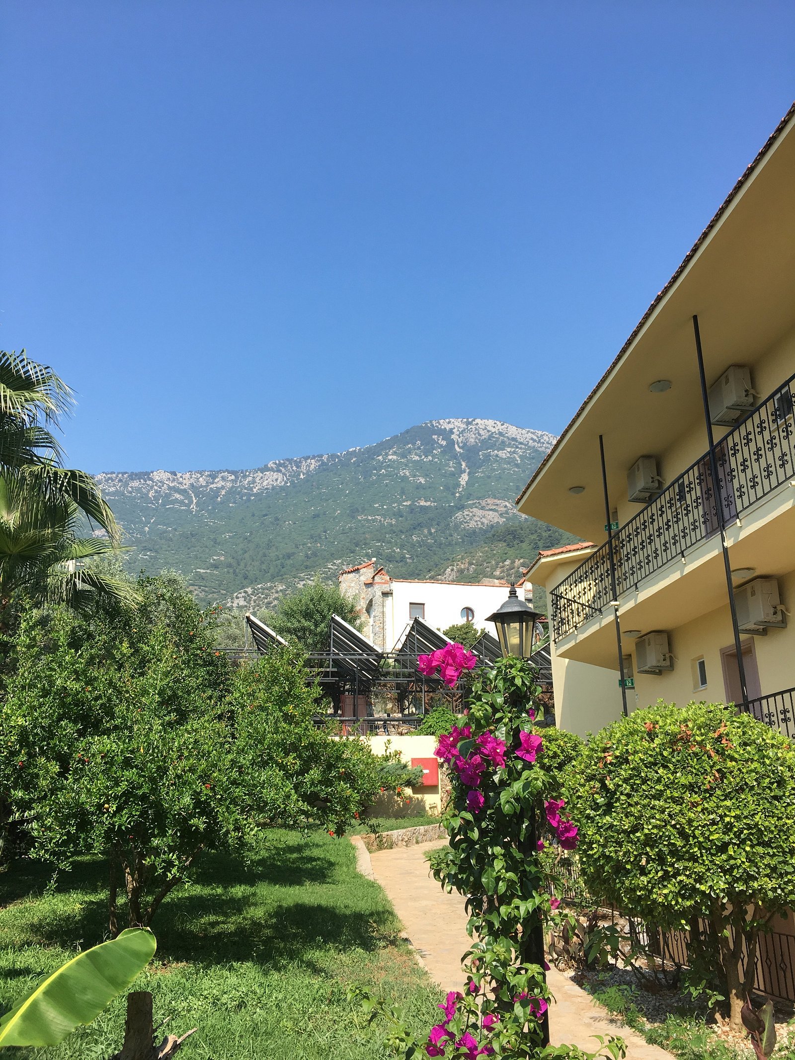 Celay Hotel photo 5