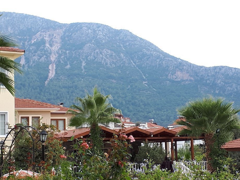 Celay Hotel photo 7