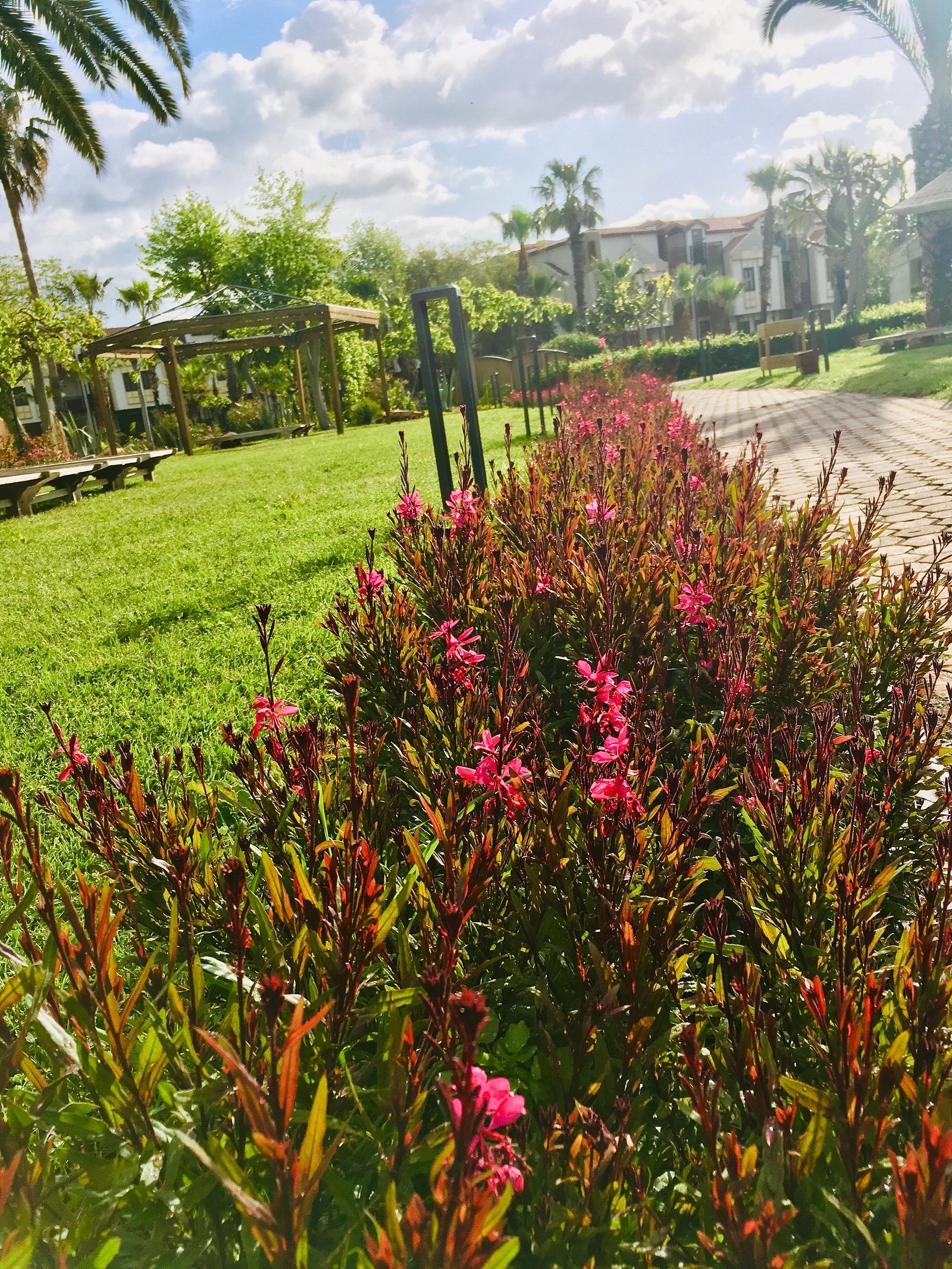 Club Tuana Fethiye photo 2