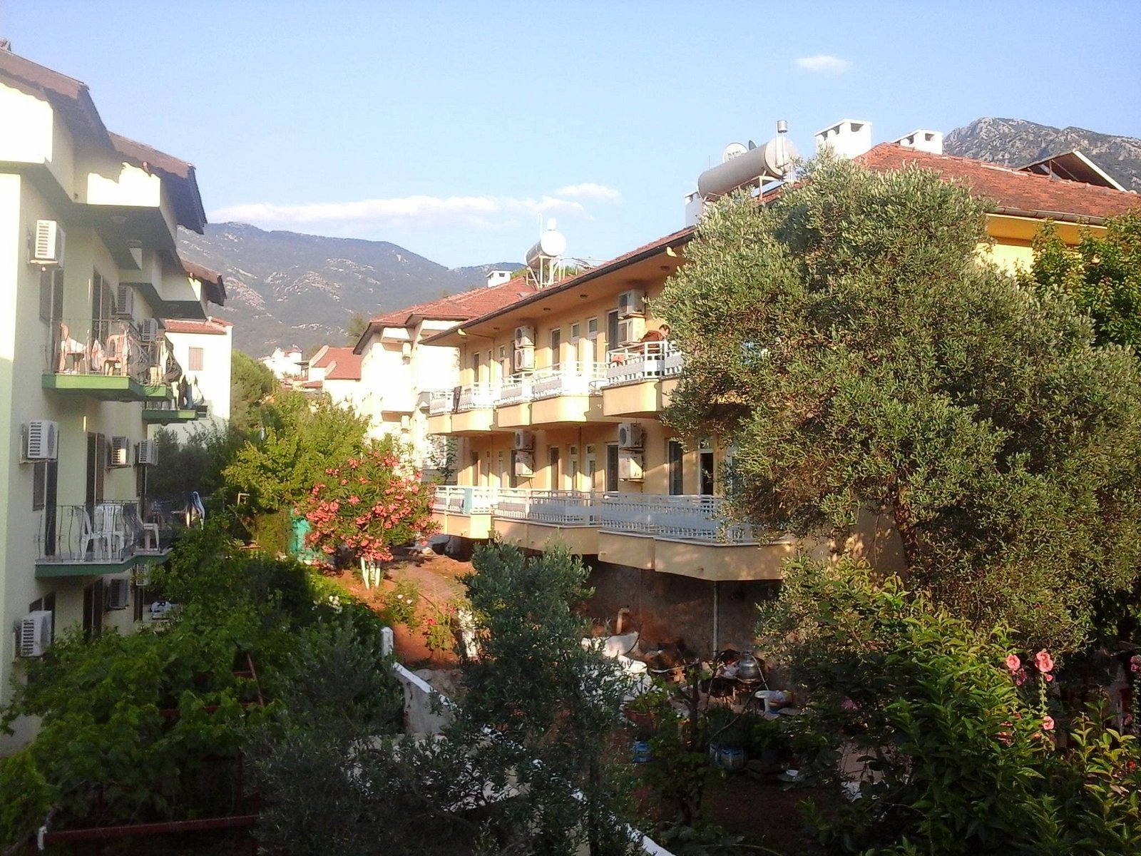 Tolay Hotel photo 3