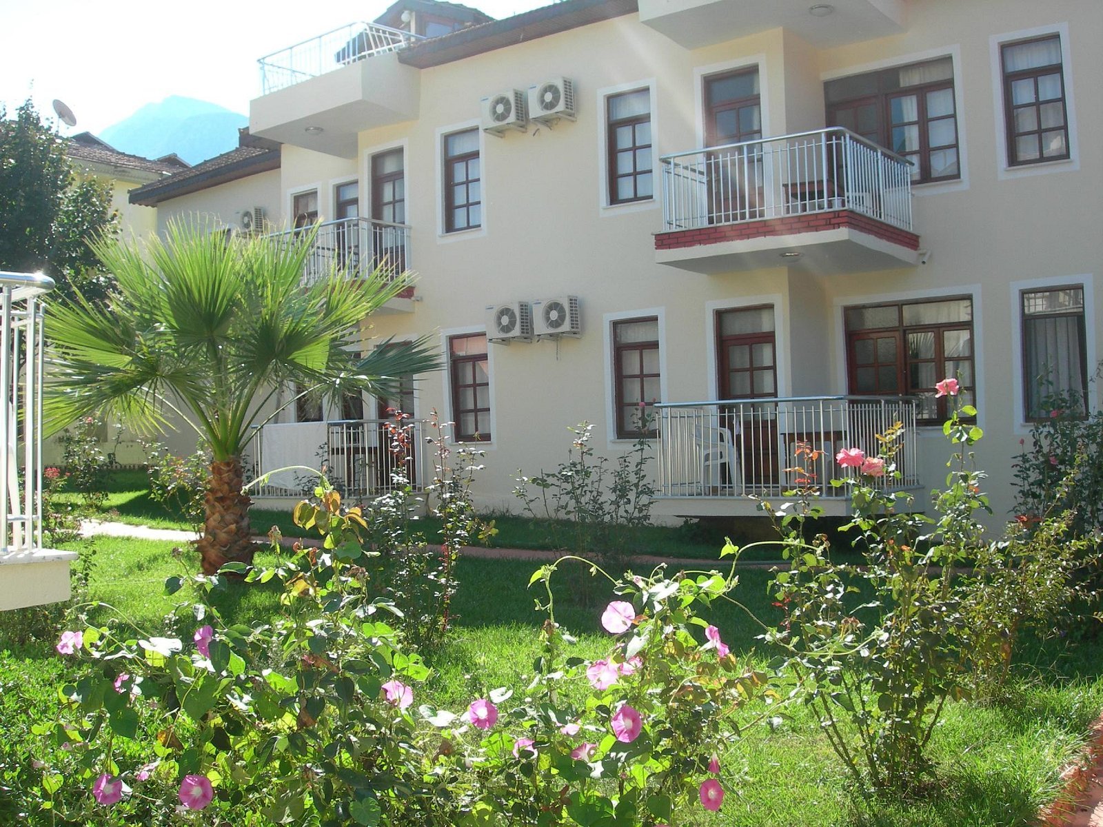 Tolay Hotel photo 2