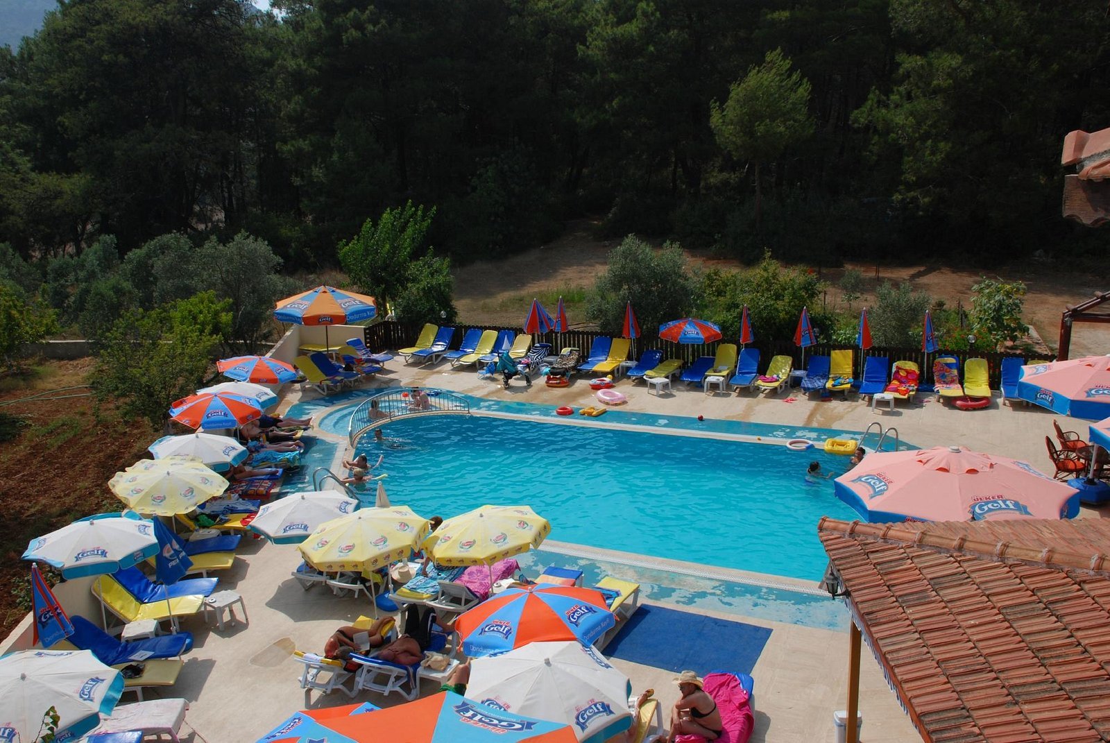 Tolay Hotel photo 8