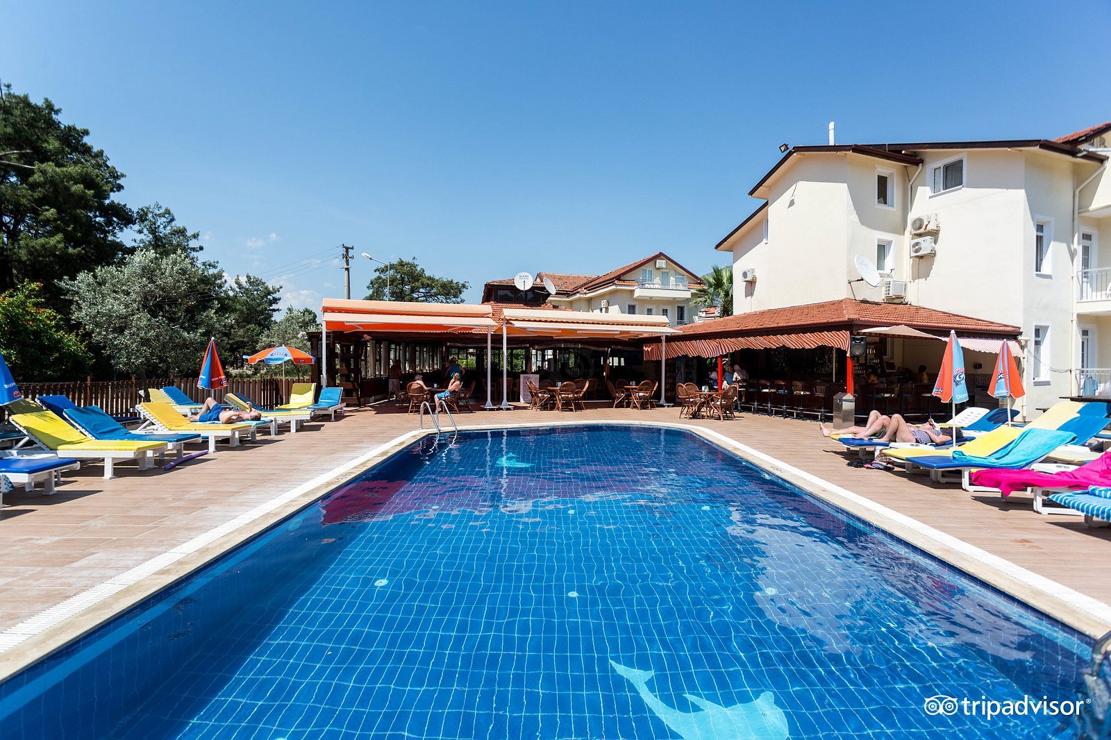 Tolay Hotel photo 10