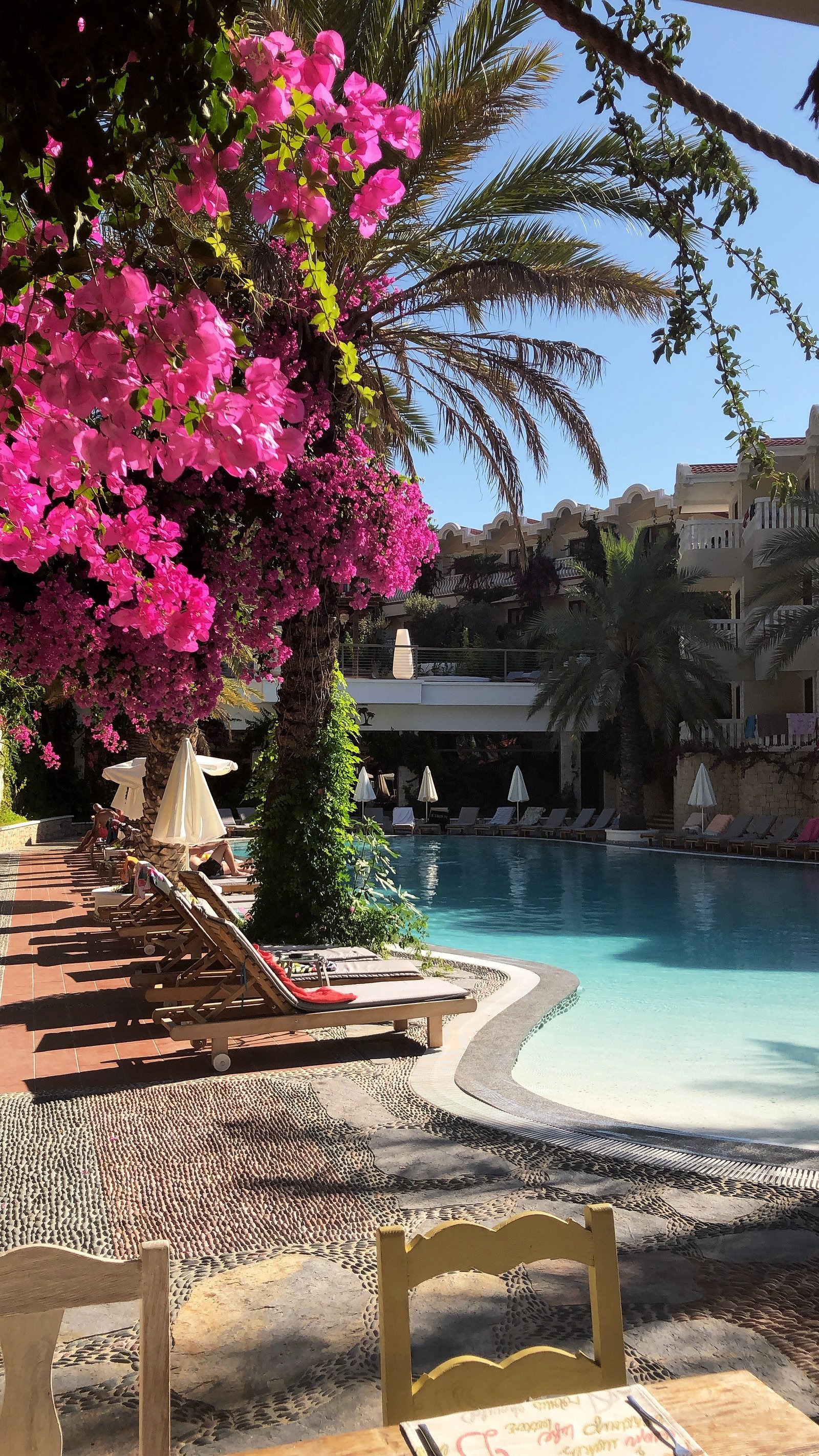 Flamingo Hotel & Spa photo 10