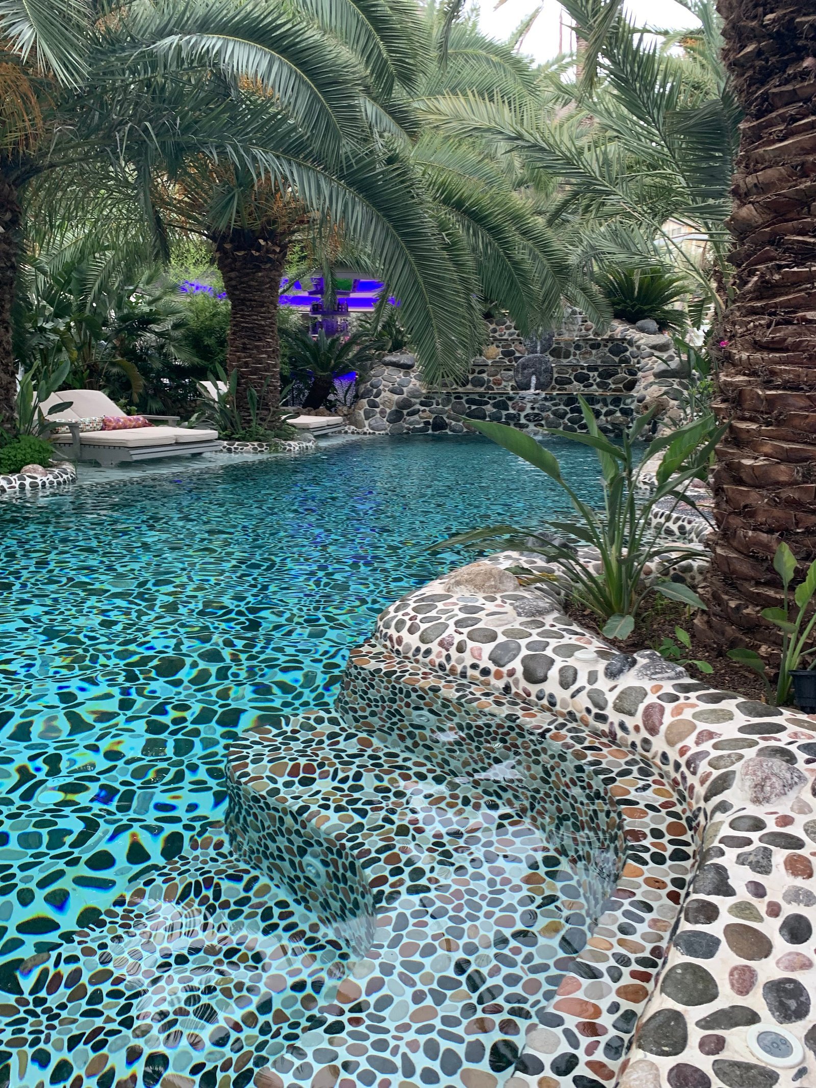 Flamingo Hotel & Spa photo 12