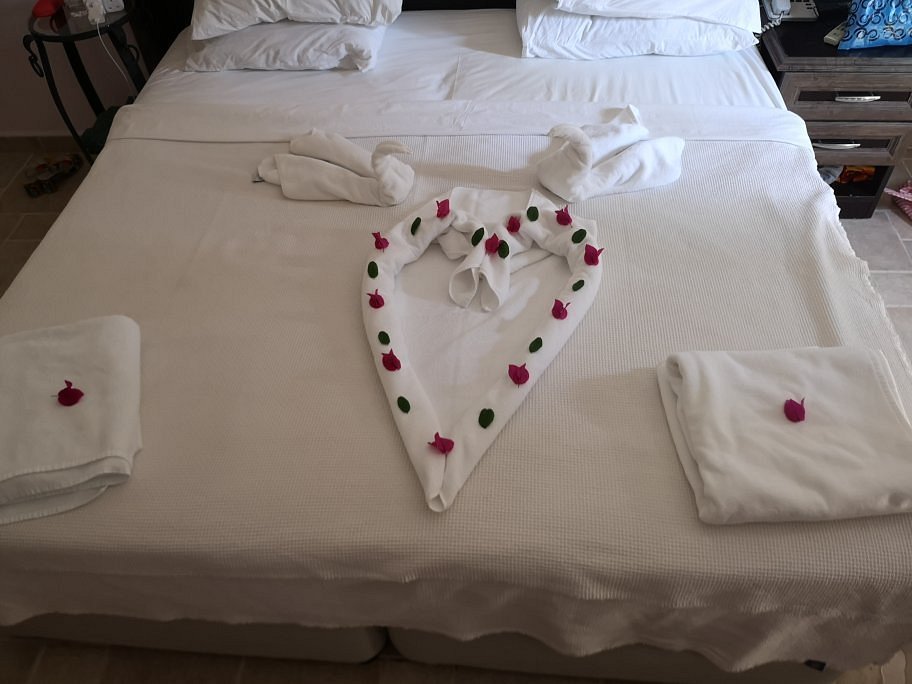 Flamingo Hotel & Spa photo 22