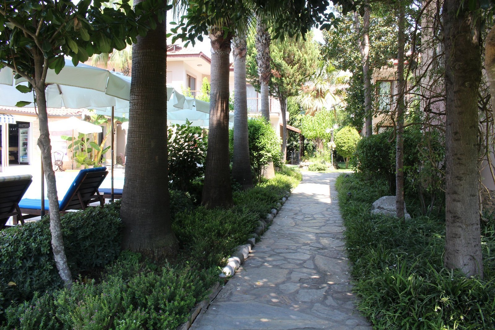 Nirvana Hotel photo 5