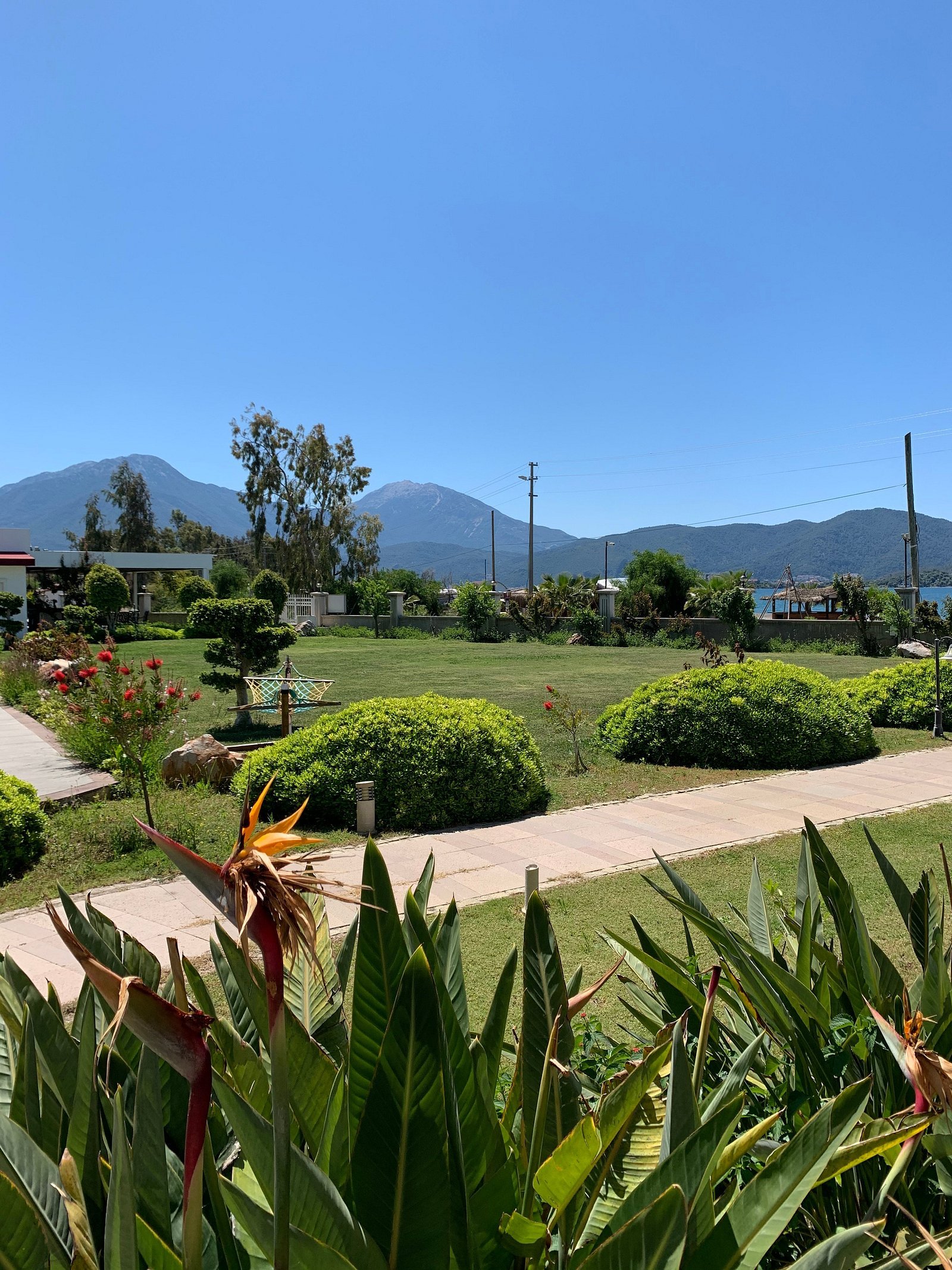 Daphne Residence photo 6