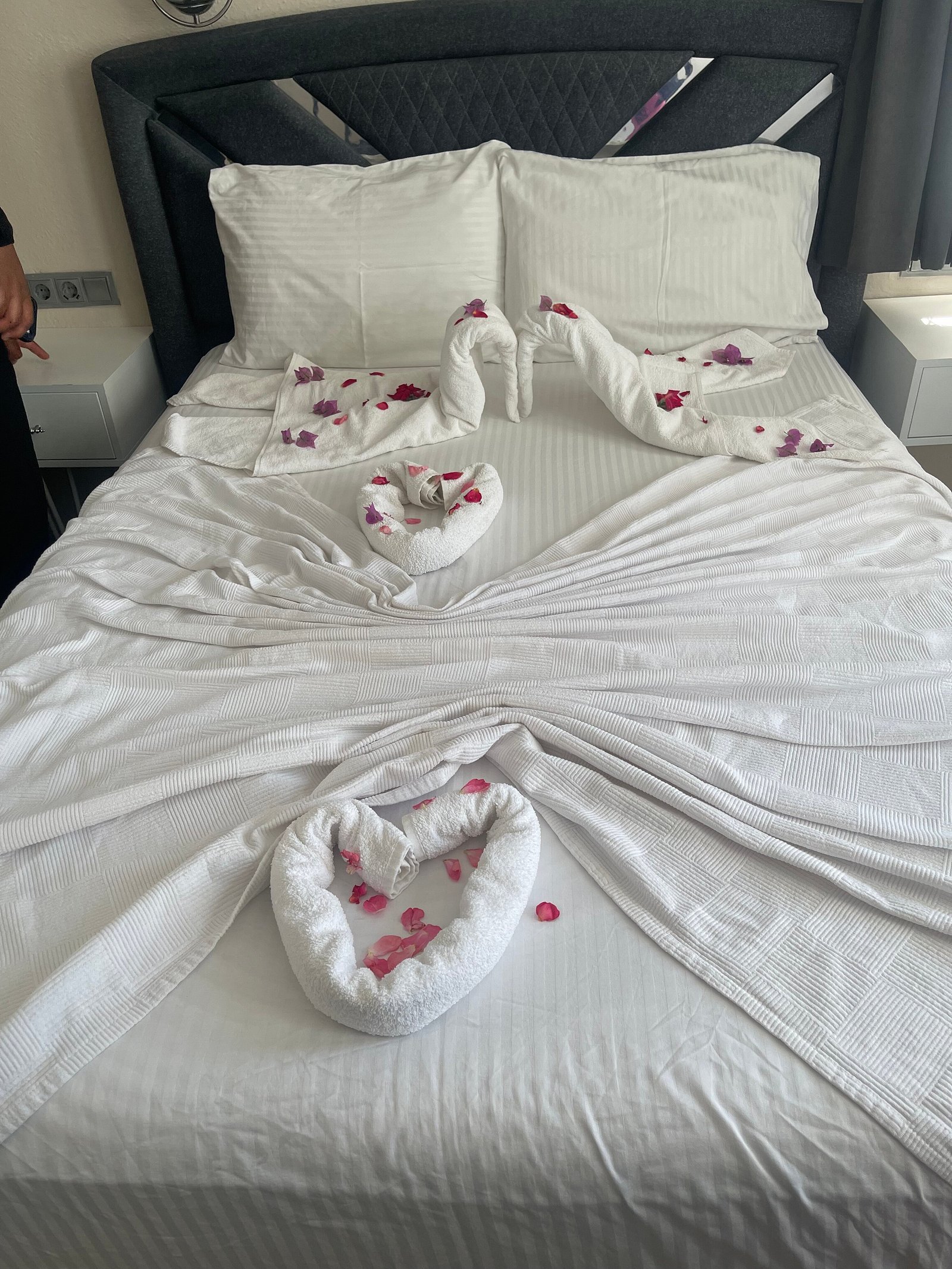 Carrington Suites photo 11