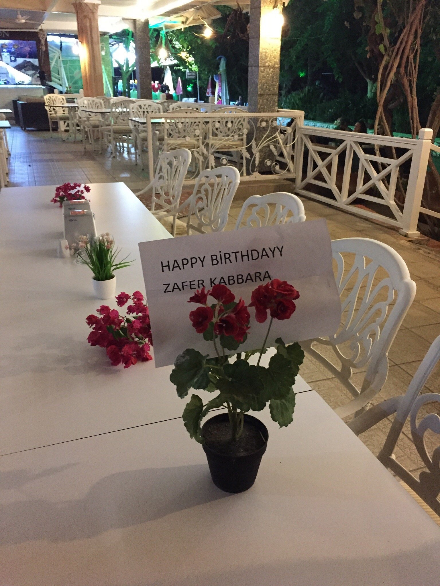 Seyir Beach Hotel photo 5