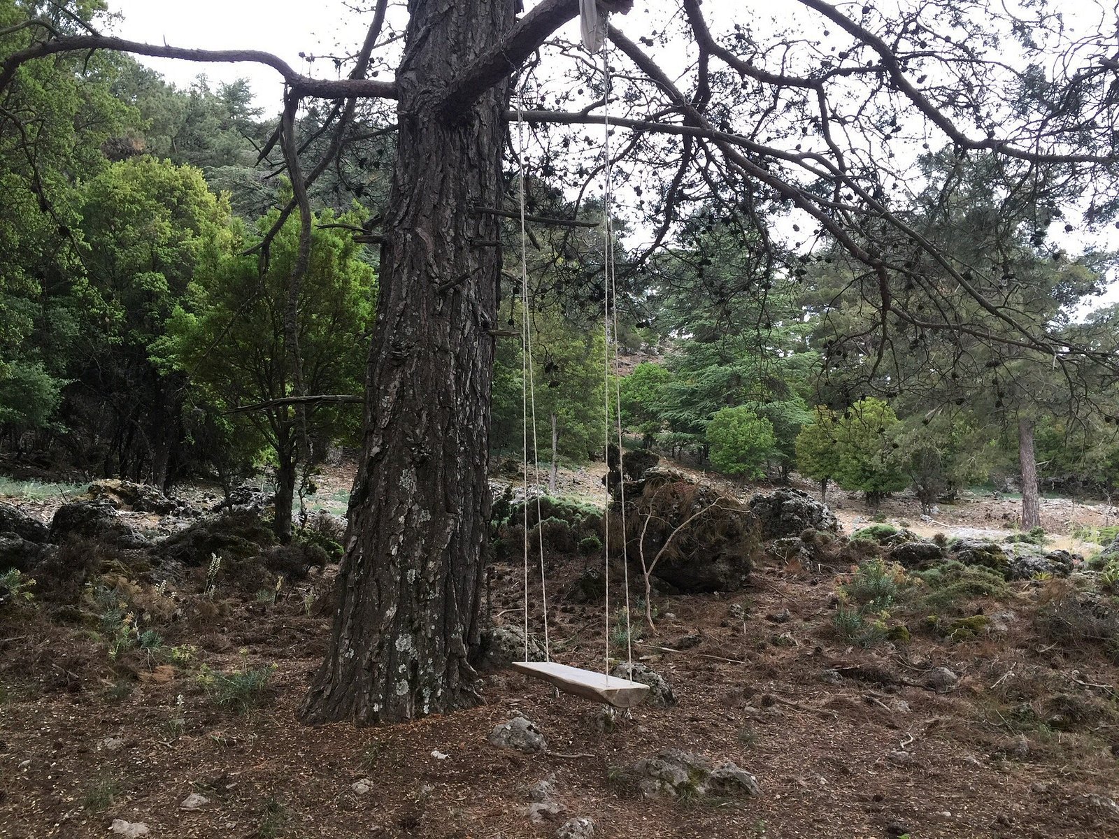 Babakamp Eco Ranch & Retreat photo 8