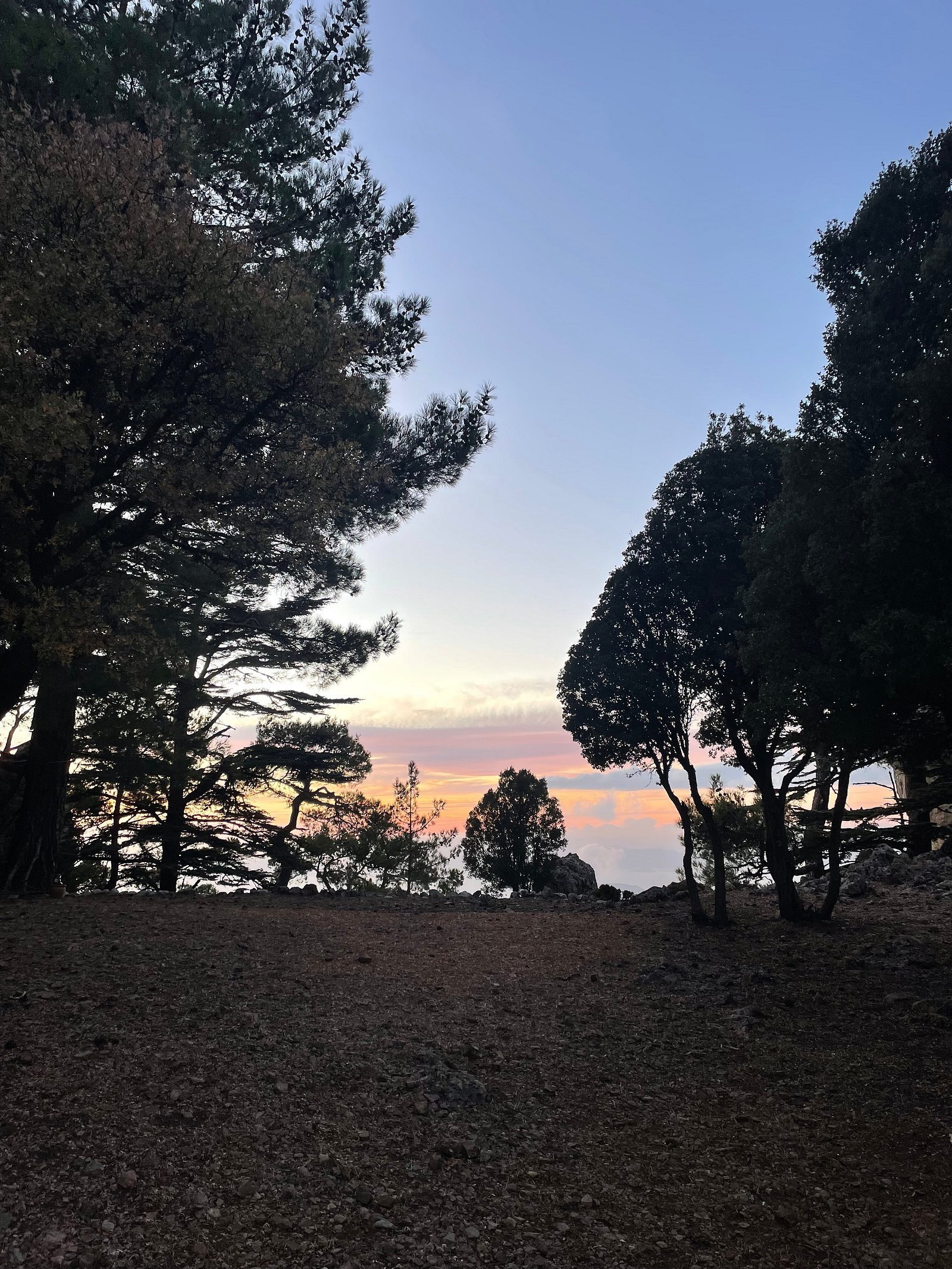 Babakamp Eco Ranch & Retreat photo 10