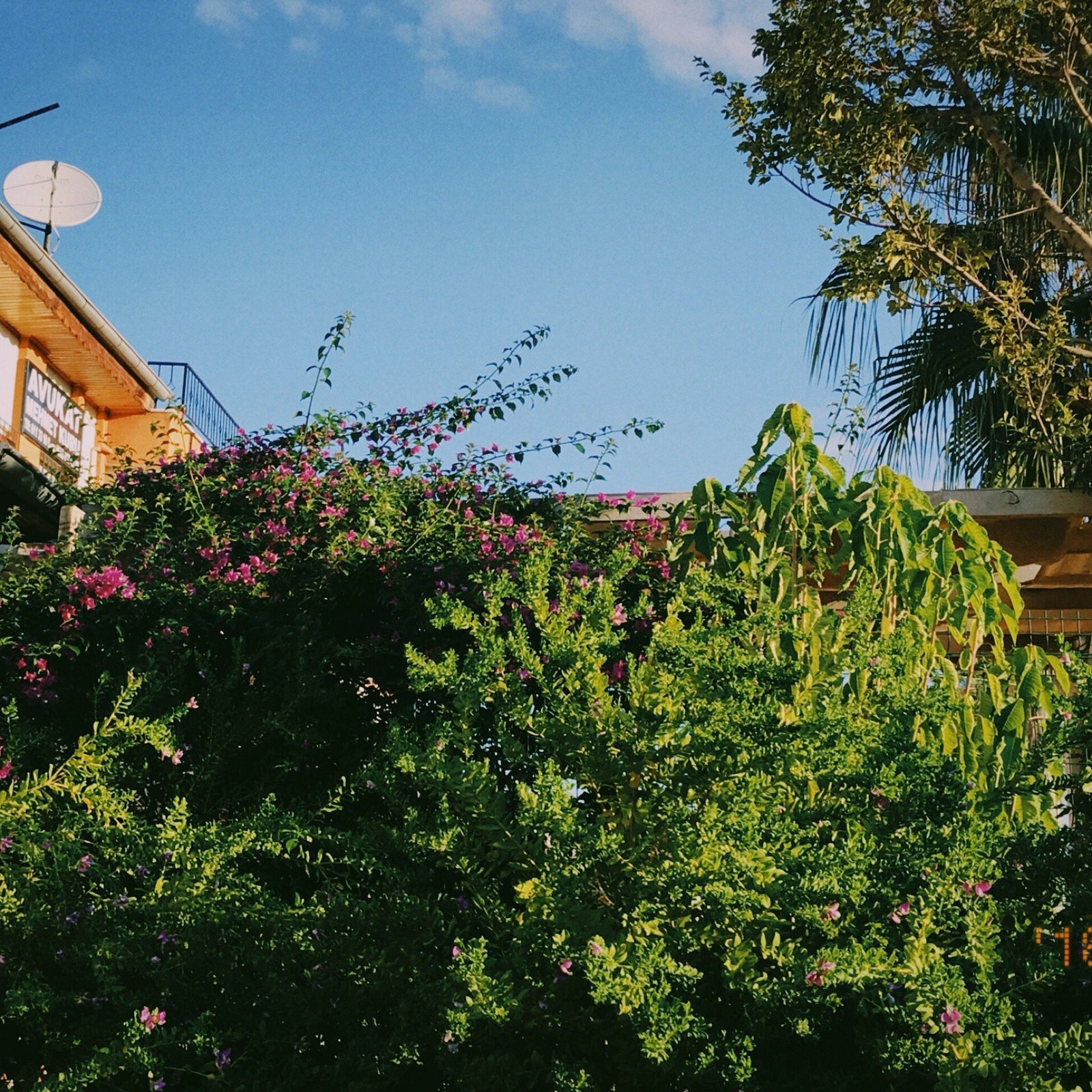 Akkent Garden Hotel photo 9