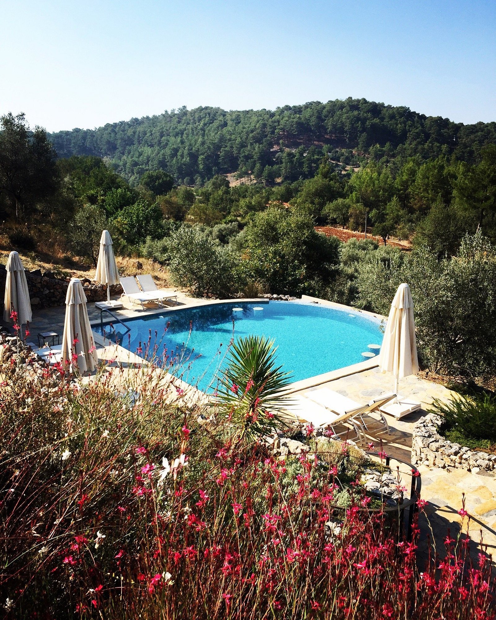 D&C Göcek Hotel photo 15