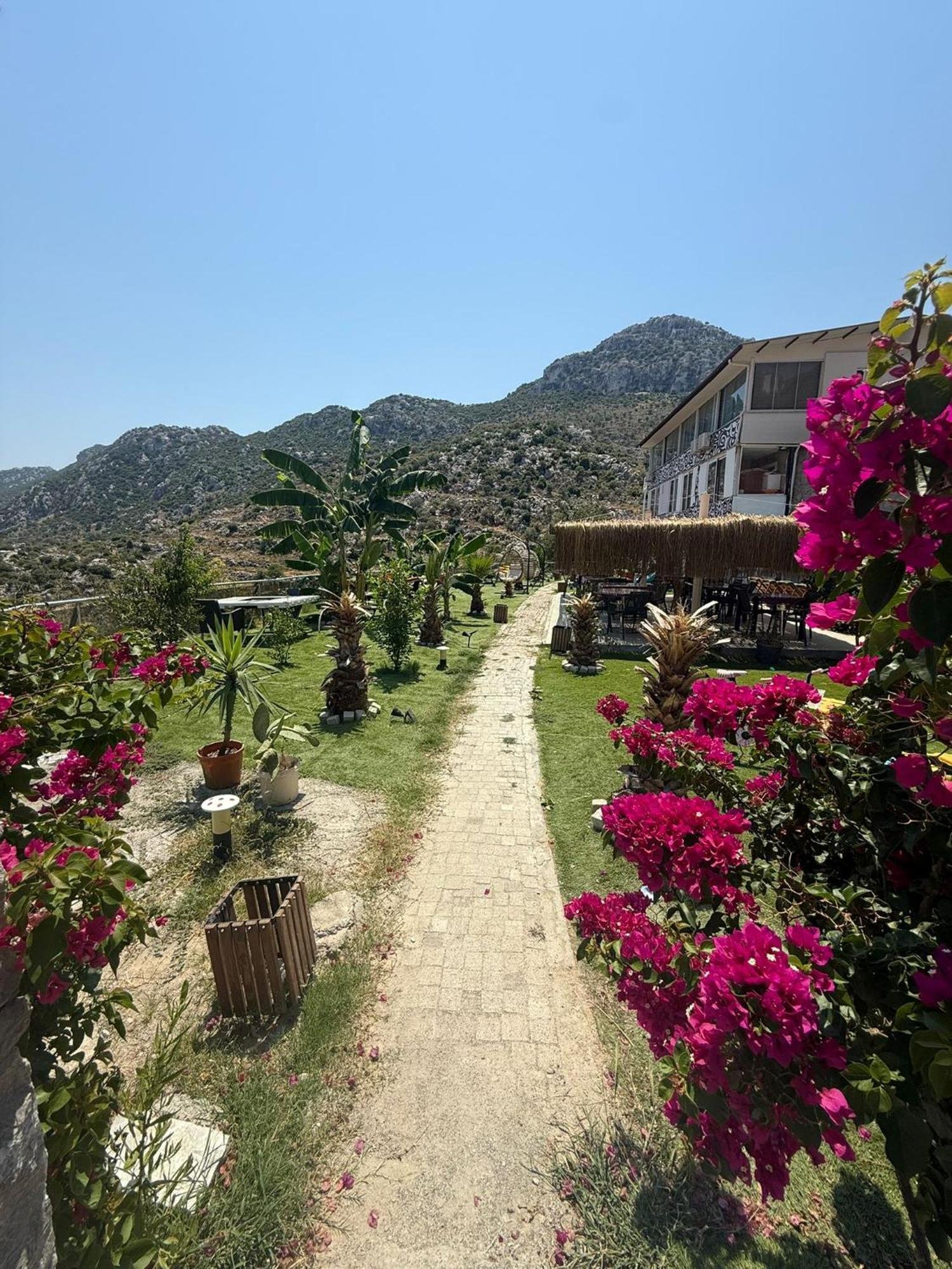 Yeşil Hotel photo 3
