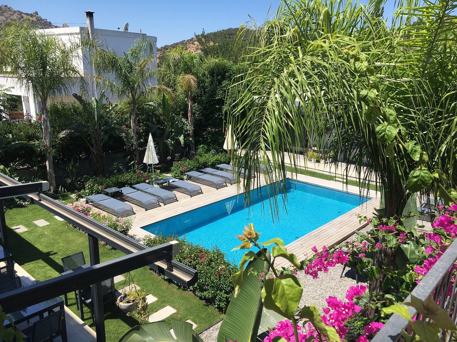 Villa Oliva Butik Hotel photo 3