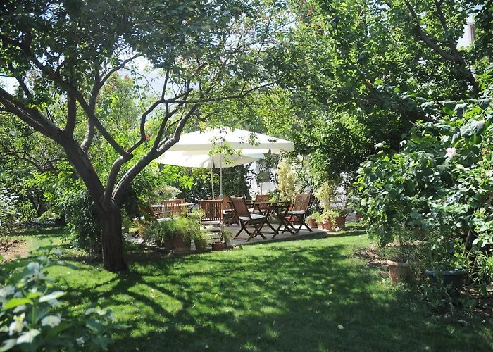 Historical Museum Resort photo 6