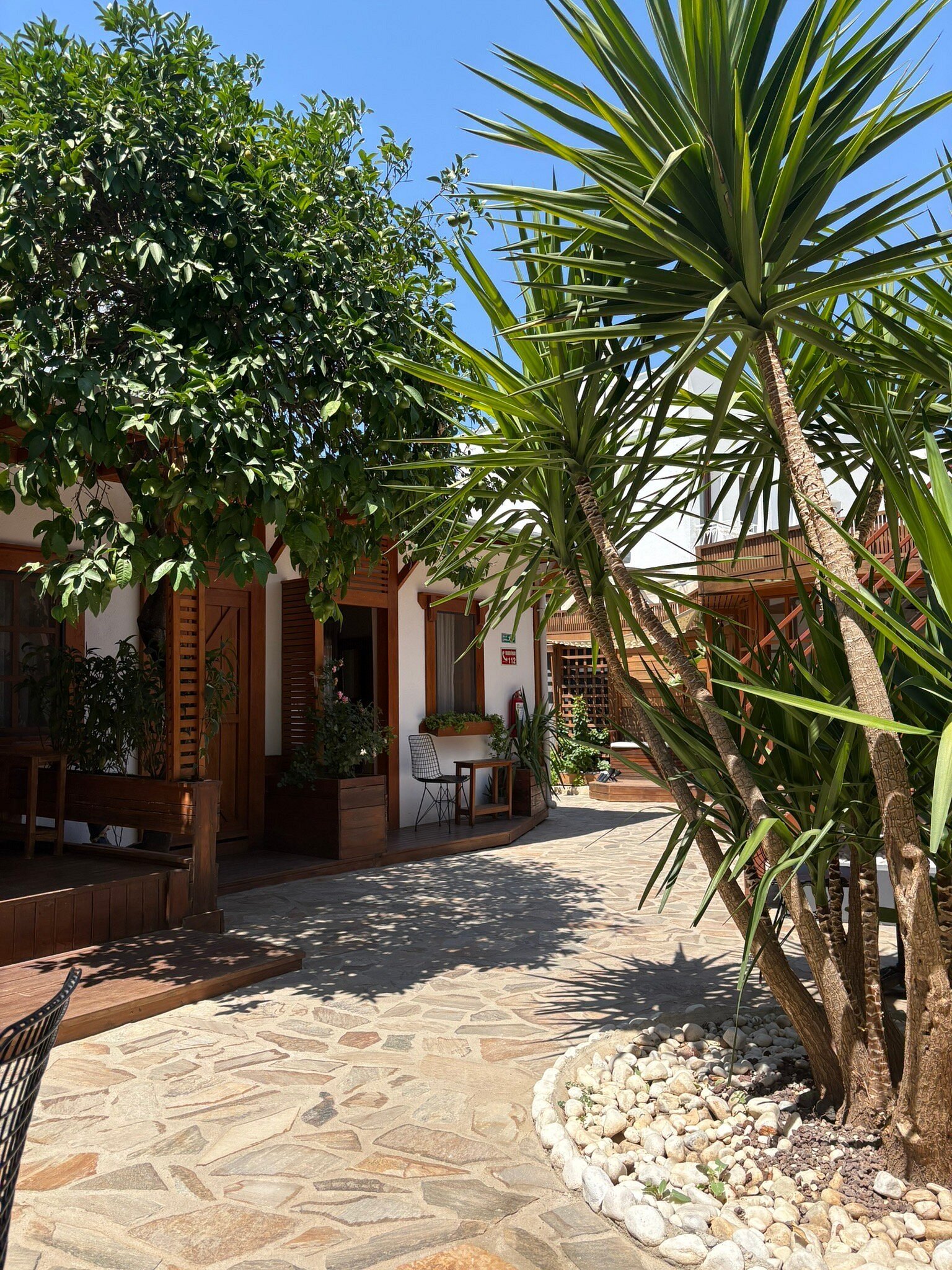 Bodrum Konağı photo 4