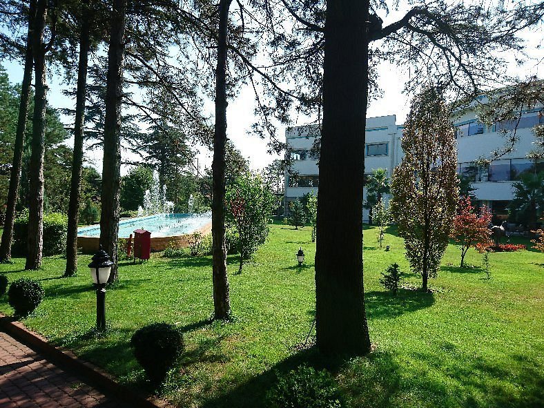 NG Sapanca photo 3