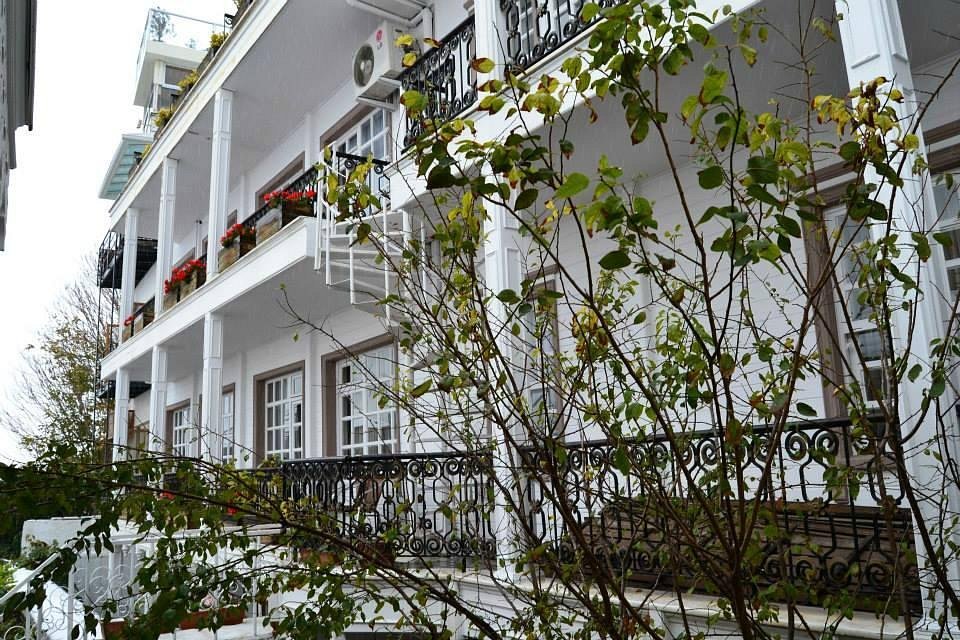 Avicenna Hotel Sultanahmet photo 3