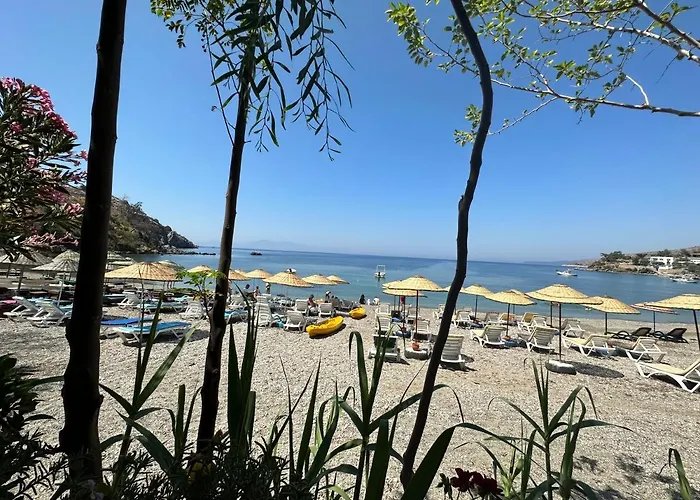 Olive Hotel photo 5