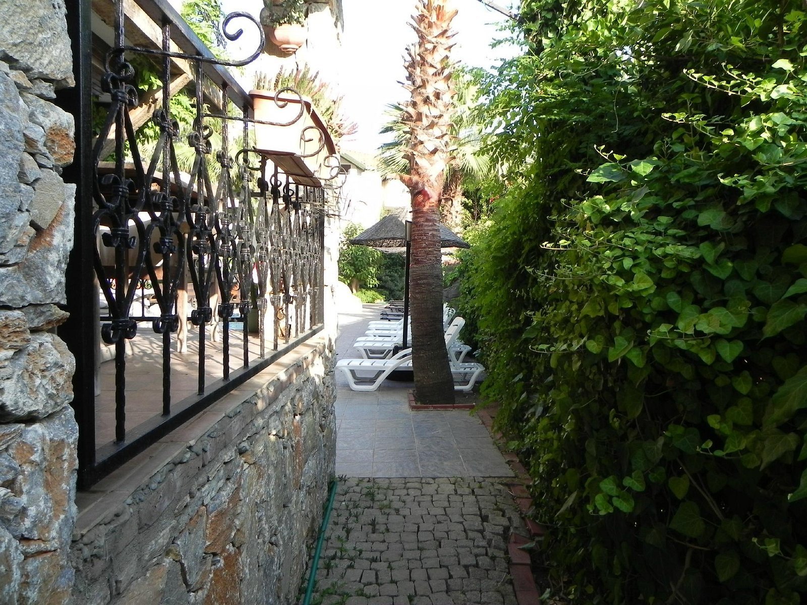 Sunblue Apart photo 7