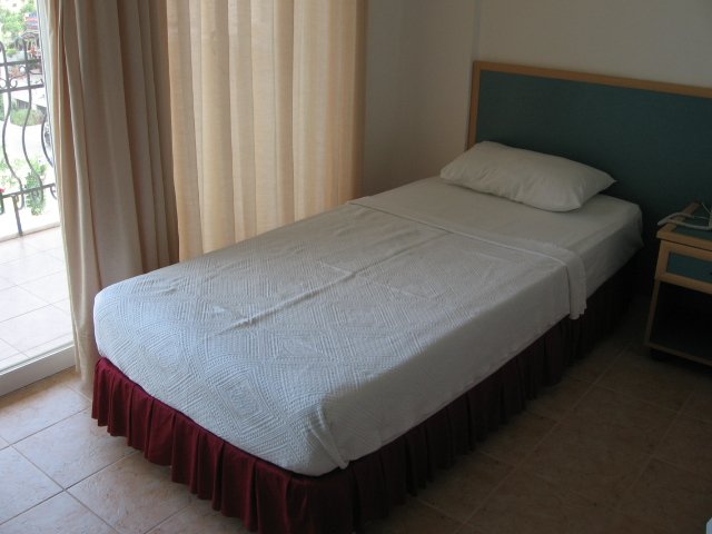 Mandalin photo 8