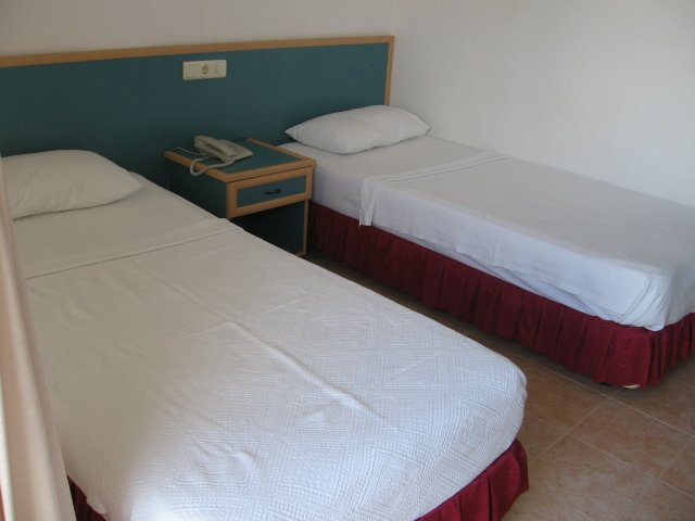Mandalin photo 9