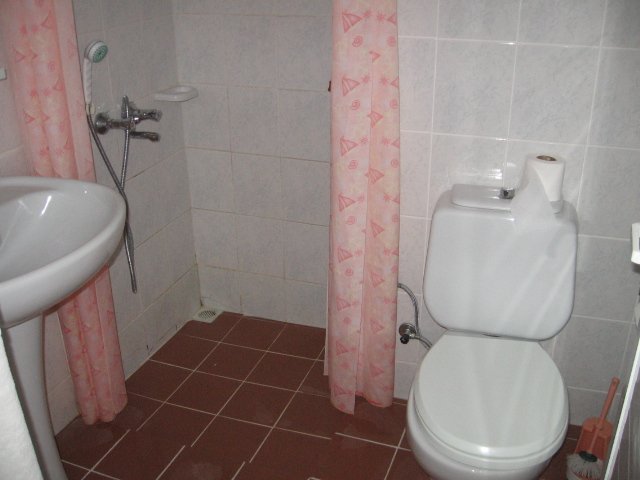 Mandalin photo 11