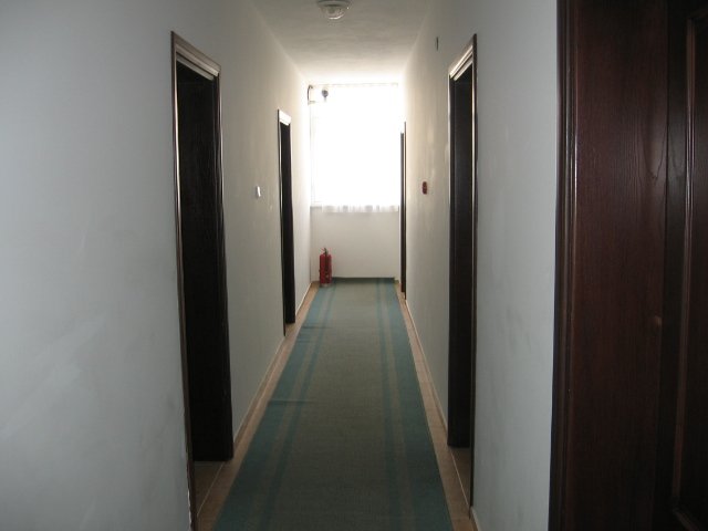 Mandalin photo 7