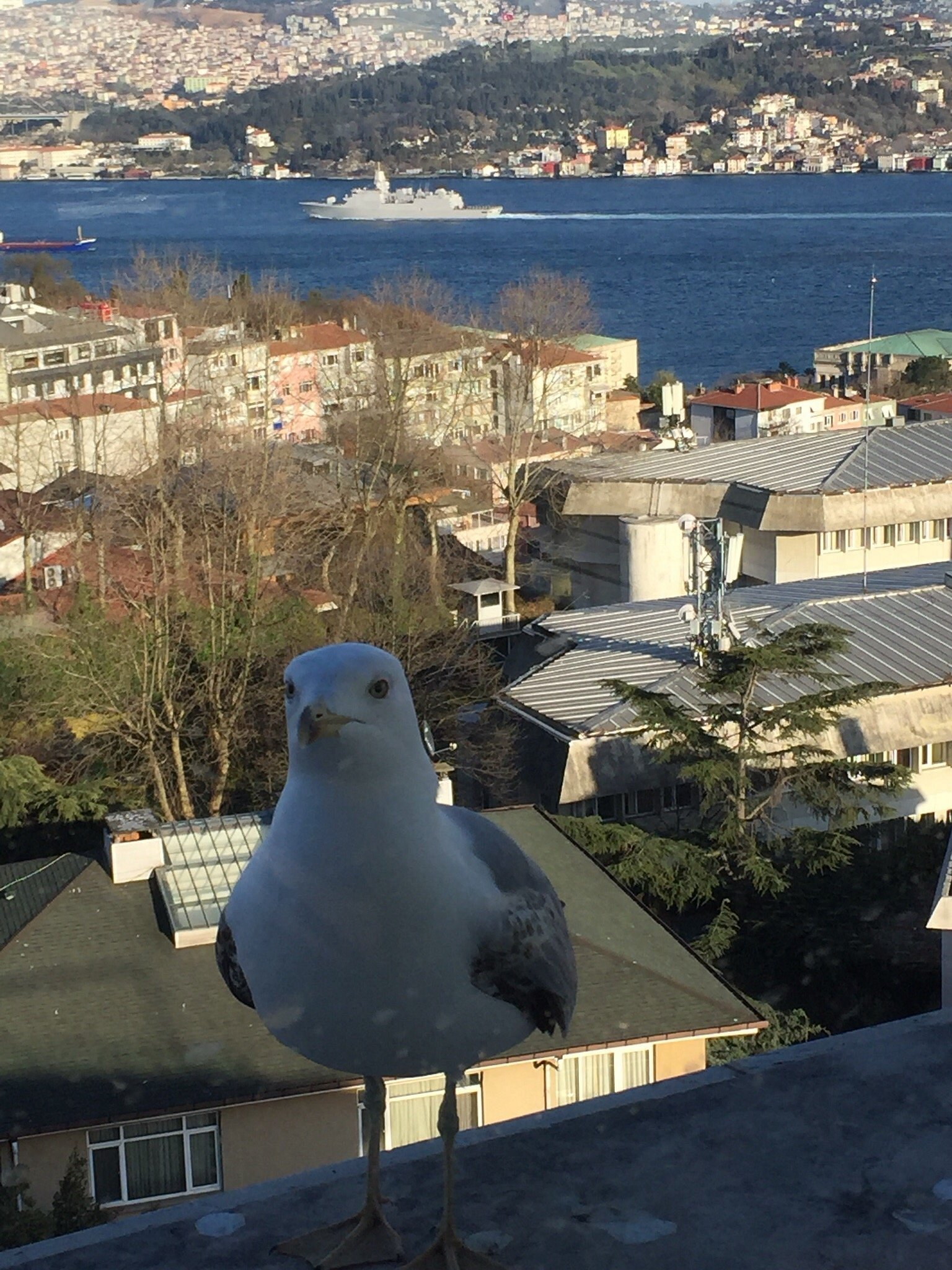 Conrad Istanbul Bosphorus photo 30