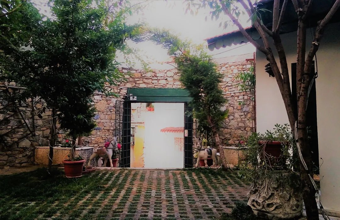 Garden Palace Boutique Hotel photo 13
