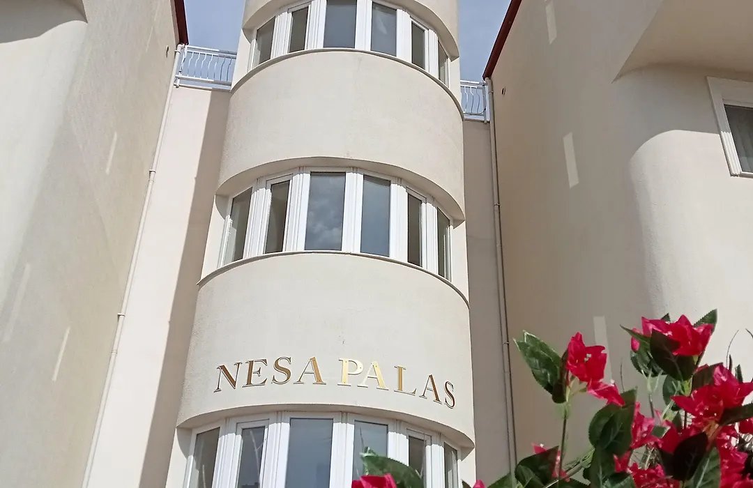 Nesa Palas photo 7