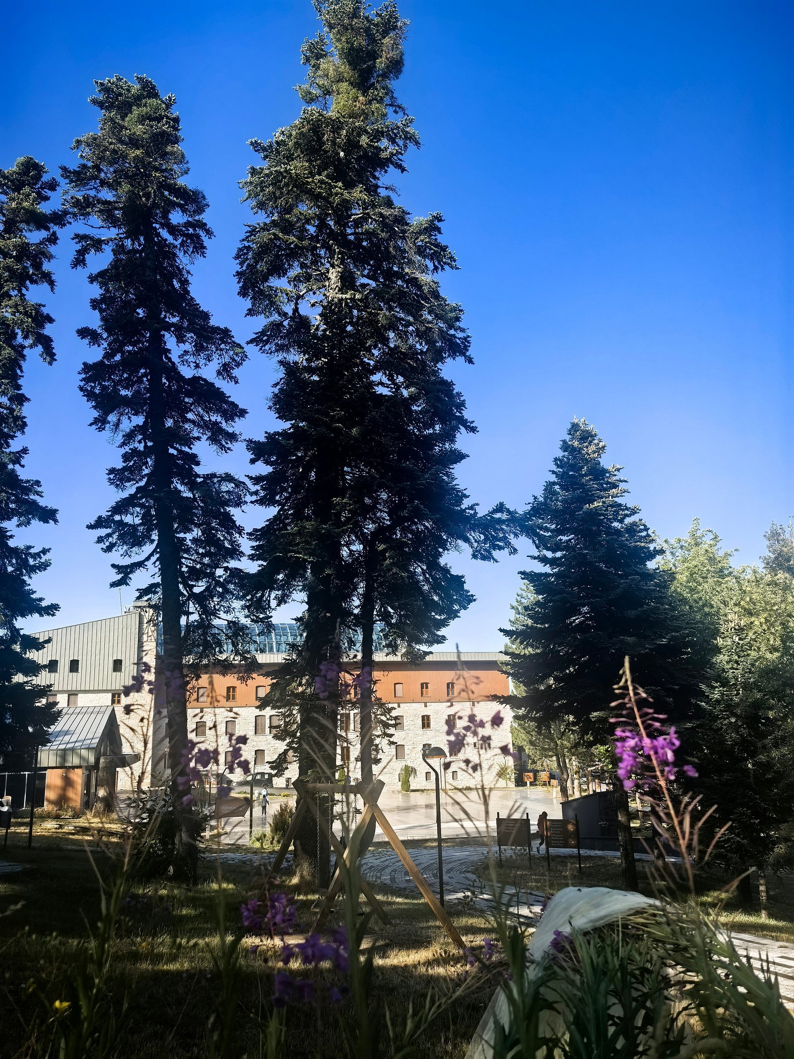 Swissôtel Uludağ Bursa photo 3