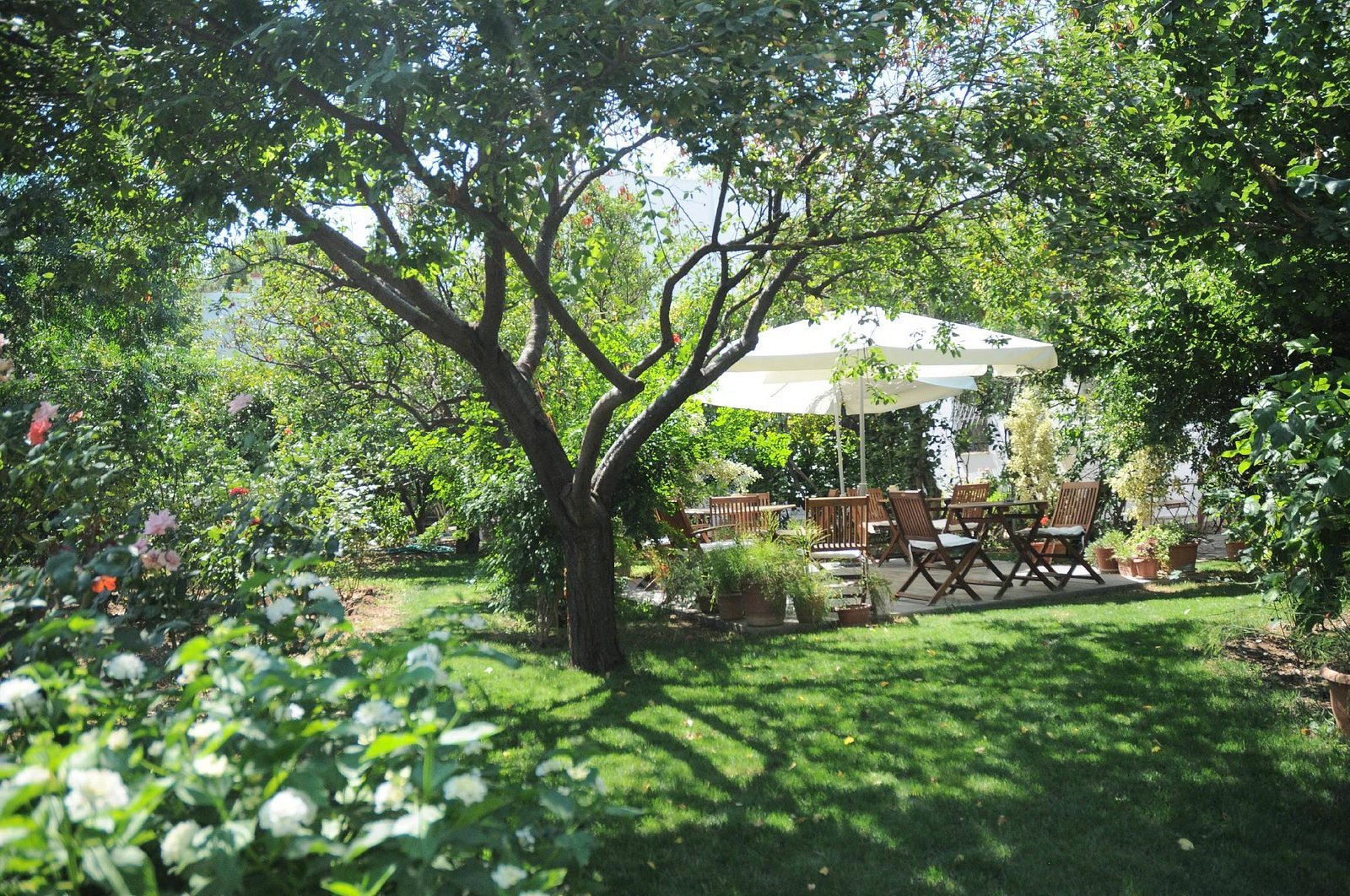 Hotel Gulec photo 2