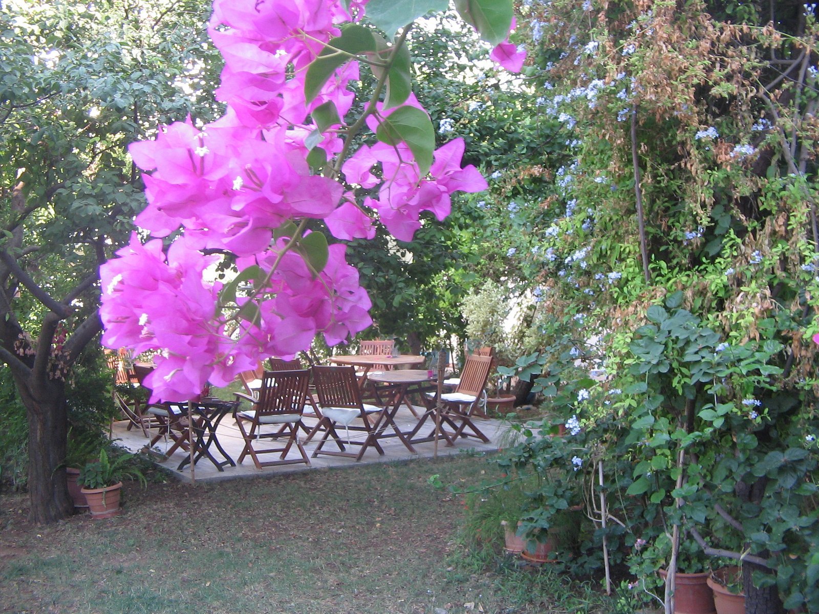 Hotel Gulec photo 6