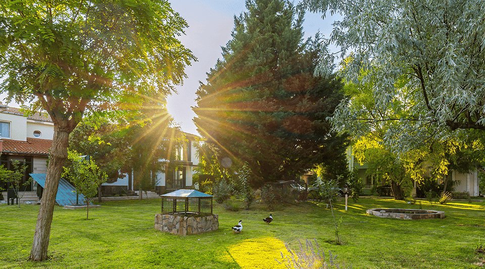 Afyon Dündar Termal Otel, Afyon Kaplıca Villa Oteli photo 3
