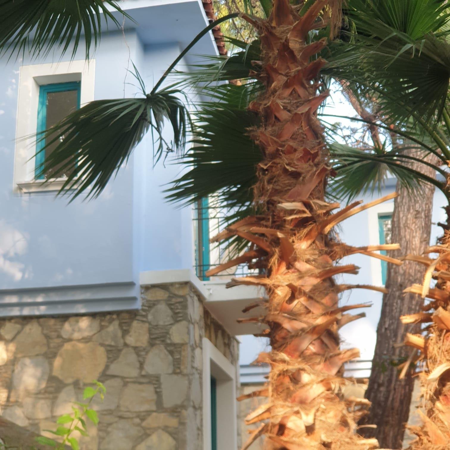 Club Bellamare Beach photo 5