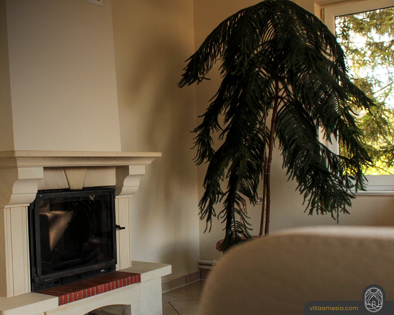 Villa Amesia & Garden photo 9