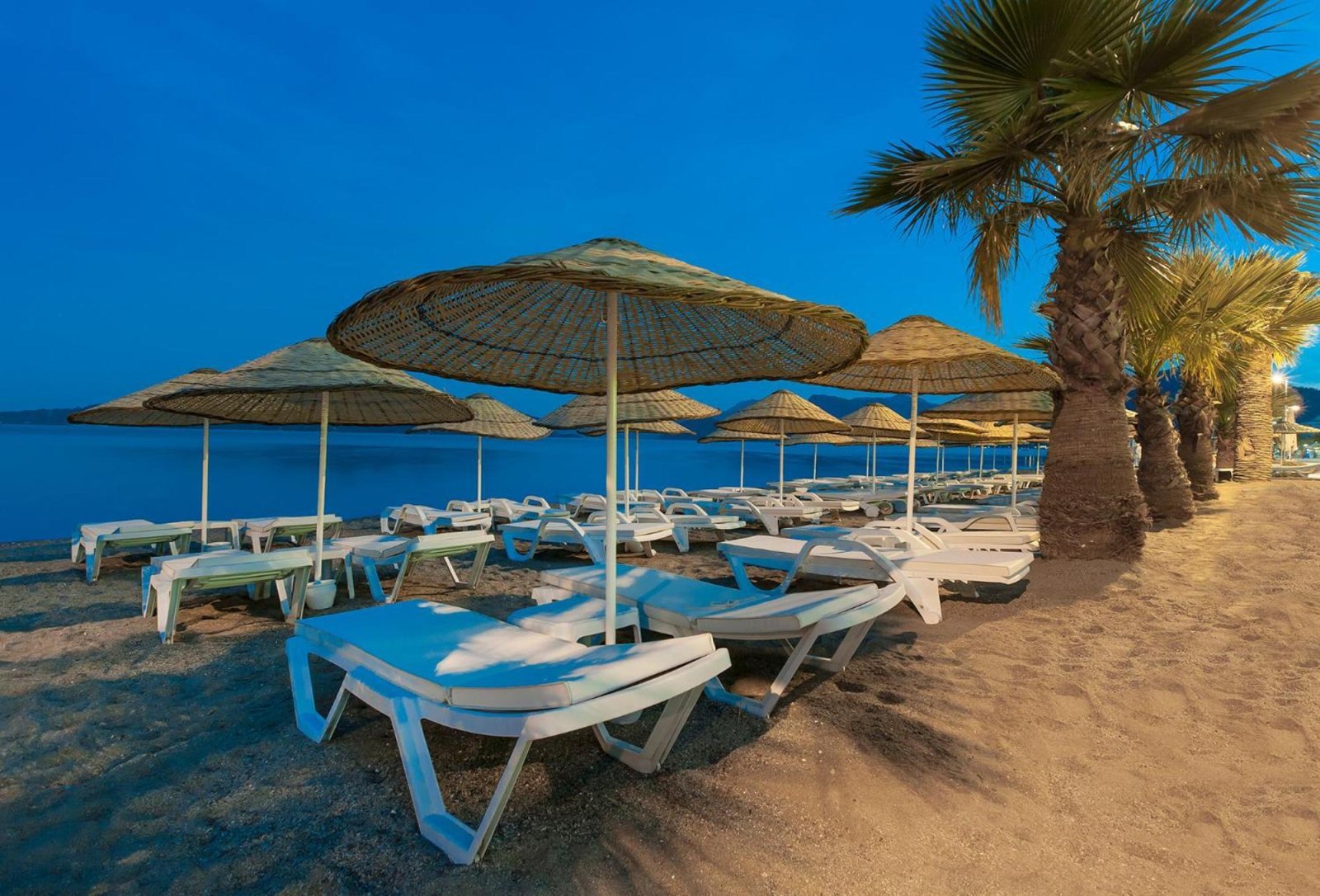 Sunprime Beachfront photo 6