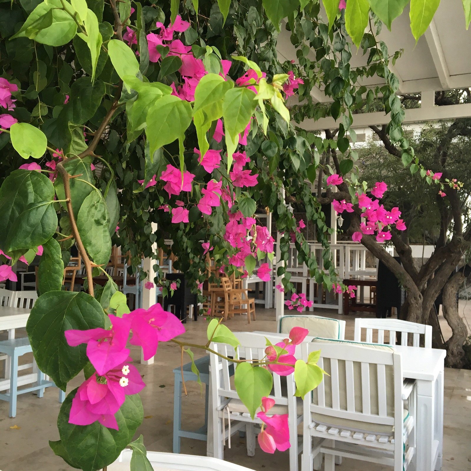 Karianda Hotel photo 8
