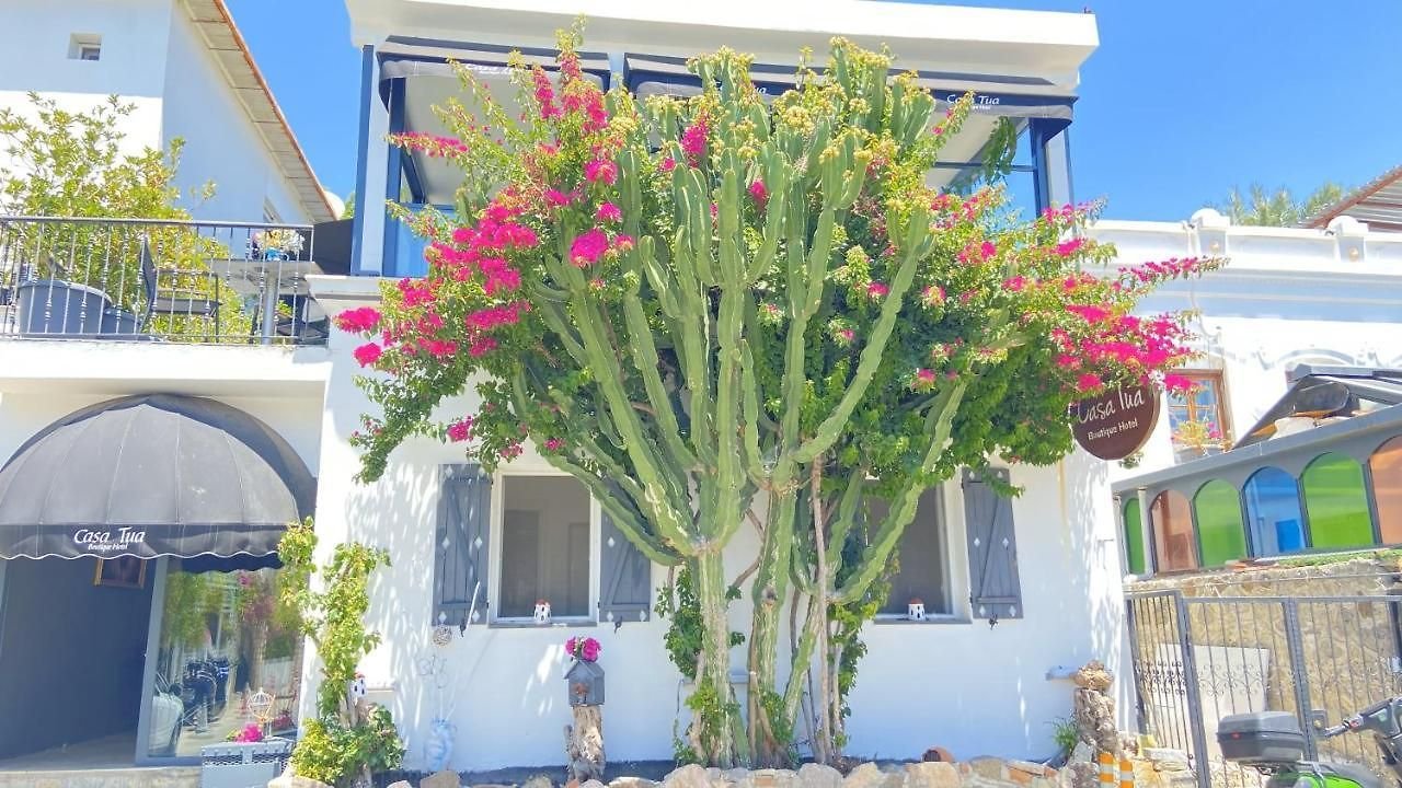 Casa Tua Boutique Hotel photo 2