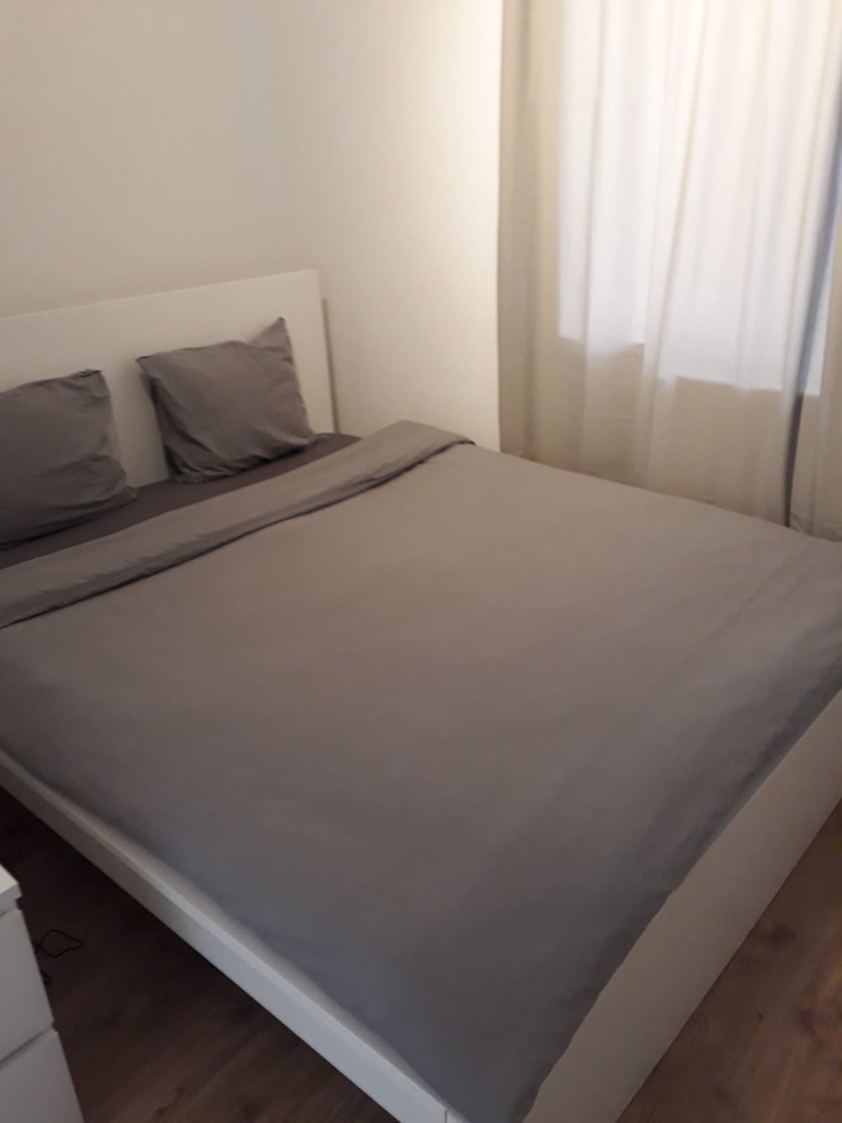 Han Çankaya photo 7