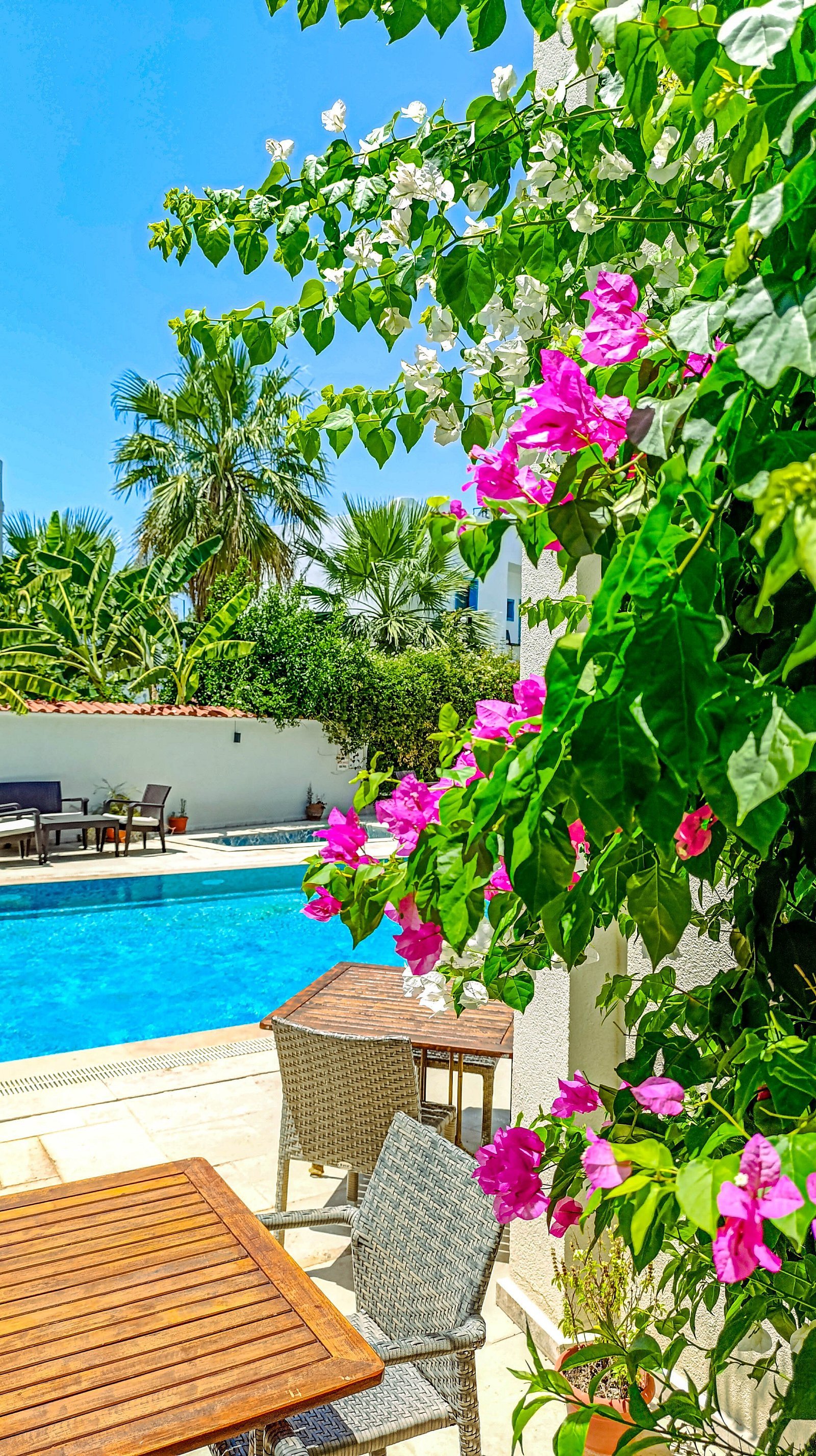 Olivias Group Hotel photo 13