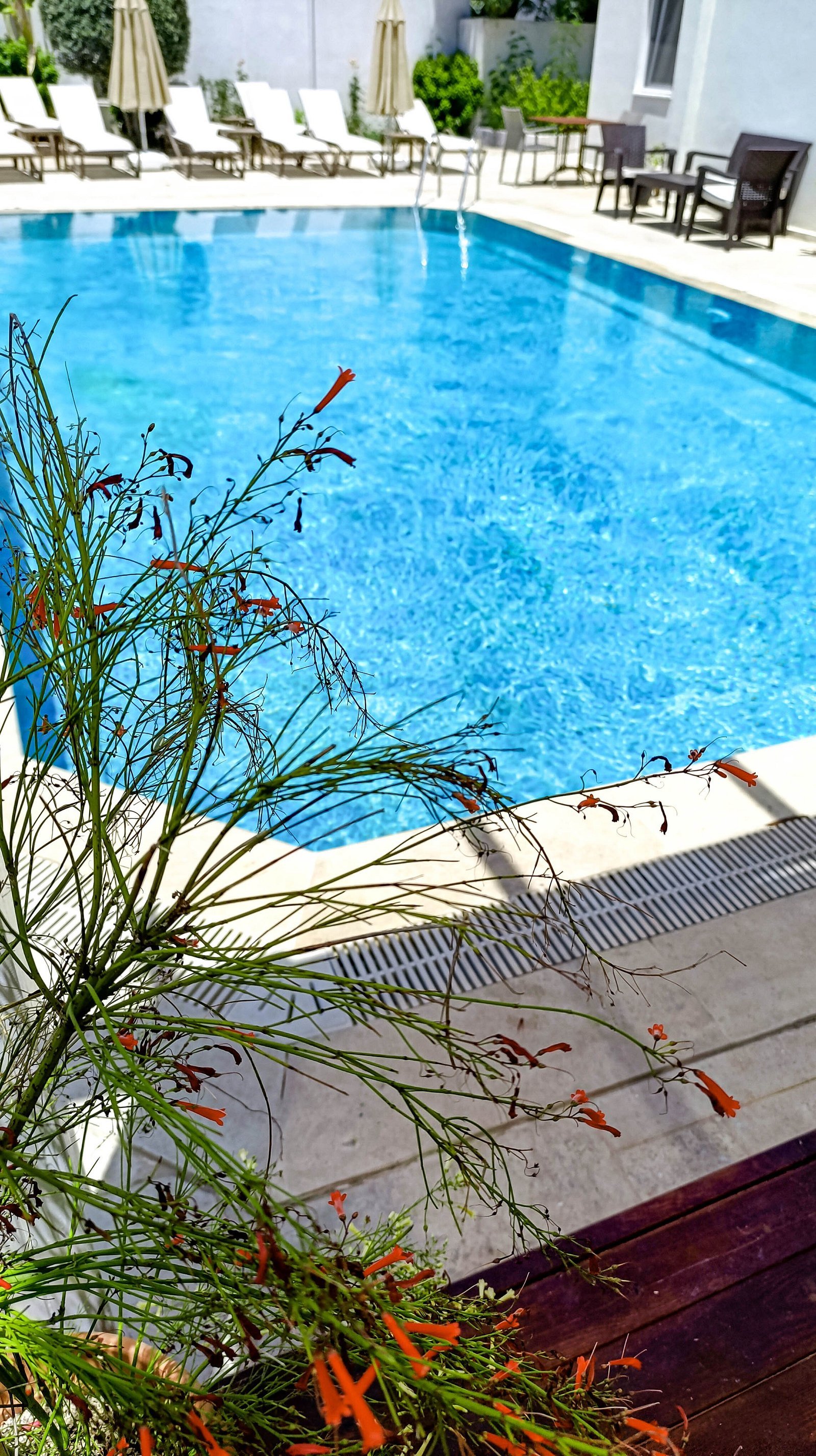 Olivias Group Hotel photo 12