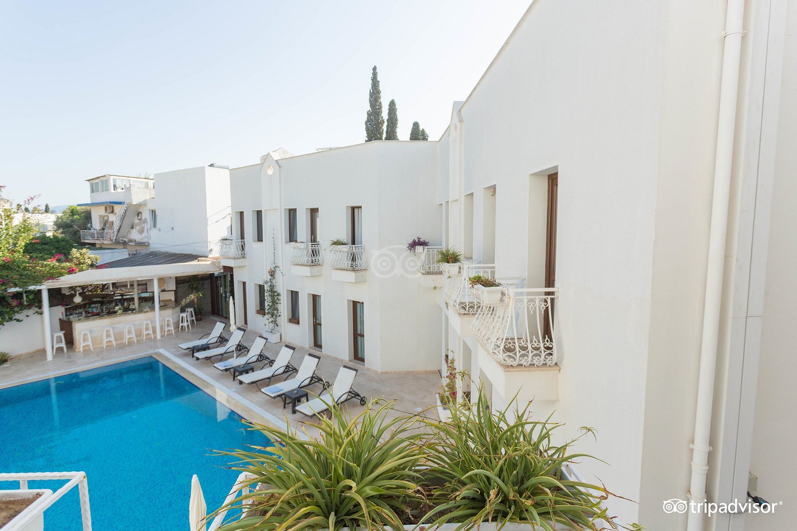 Costa Asmin Hotel photo 2